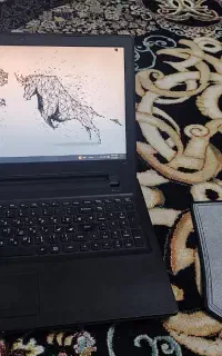 lenovo 300