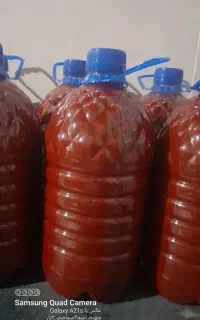 رب خانگی انشالله هفته ای دیگه