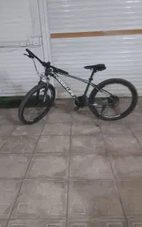 دوچرخه گلدیف