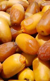 رطب نو برانه