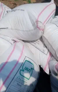 کودسفید ریز ودرشت