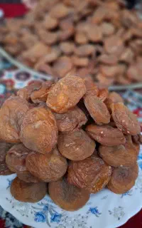 قیصی آفتاب خشک
