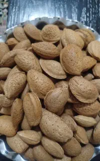 بادام  سنگی