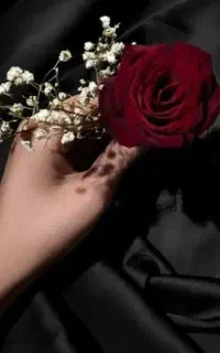 آموزش تاتو بدن