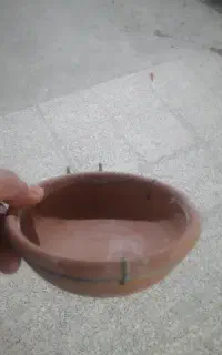 لانه قناری سفالی