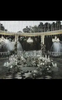 عروسی تشریفات مجالس