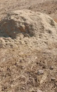 ۱۰ کوپه کاه