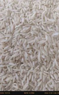 برنج طارم رودبار