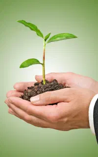مسیر پاکی