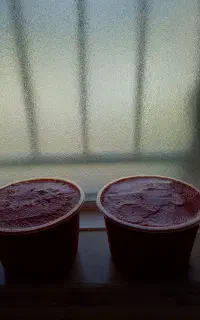 رب گوجه فرنگی خانگی
