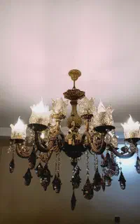 اوستر ۱۴ شاخه