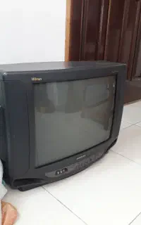 تلویزیون
