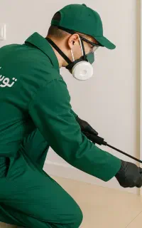 سم‌پاشی تخصصی و دفع حشرات موذی در منزل