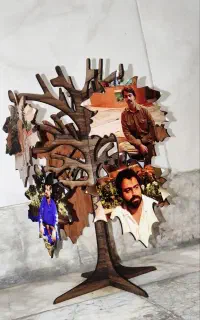 قاب عکس