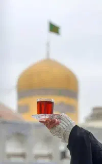 تور مشهد تاکستان