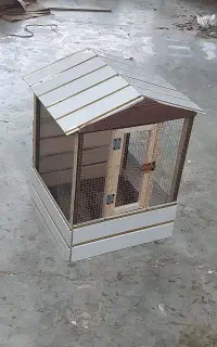 ۲تومن با لونه و‌نردبون