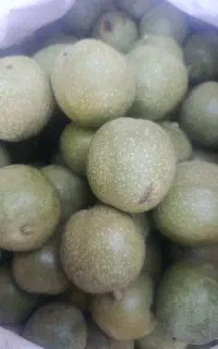 گردو درجه یک تازه
