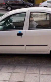 تیبا دوگانه گانه شرکتی
