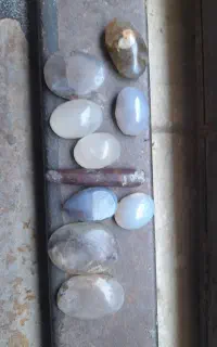 بدلیجات