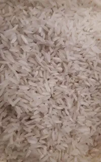 فروش عمده برنج طارم هاشمی