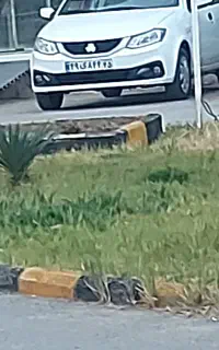سایناs صفر