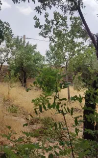 خانه باغ مناسب در منطقه خوش آب وهوا