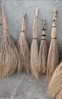 جارو‌شهرداری