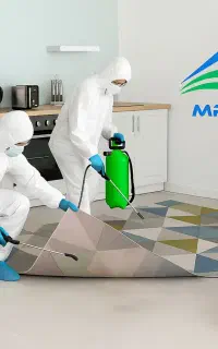 سمپاشی ساس سوسک موش کنه بید گال شرکت تخصصی سم پاشی