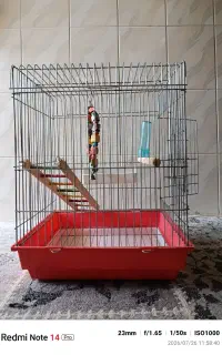 قفس پرنده