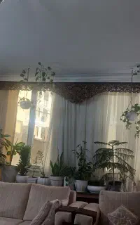 کتیبه پرده چوبی/طرح چوب گردویی، ۳ تکه، سالم