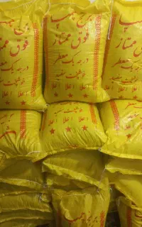 فروش برنج چمپا