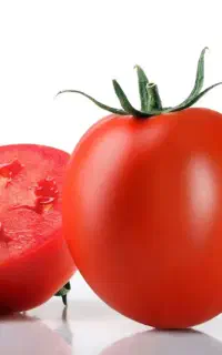 فروش گوجه فرنگی بصورت تناژ