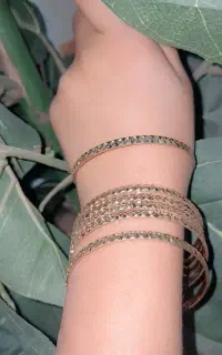 بدلیجات