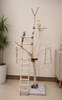 استند پرنده