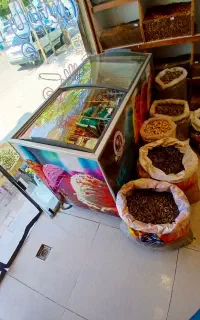 یخچال بستنی