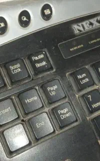 حراج باند تک واکس داشبورد.و..