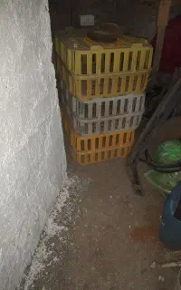 سبد مرغ