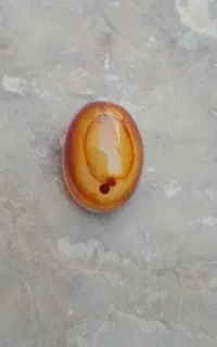 نگین باباقوری