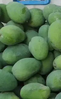 فروش میوه و تره بار
