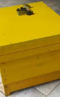 کندو کف باز طرح آلمانی