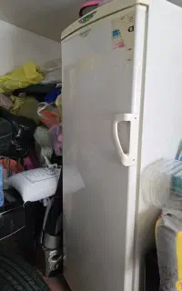 یخچال تک پارس