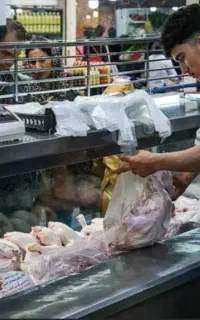 کارگر با تجربه برای مرغ فروشی