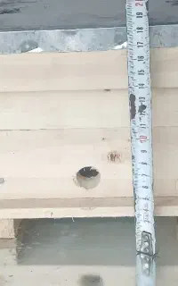 کندوچه پرورش ملکه کف باز زنبور عسل