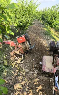 شخم زدن باغ با دستگاه تیلر و علف زنی تمام نقاط