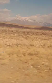 سند متور