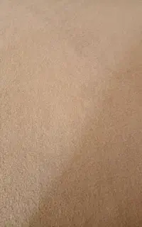 موکت