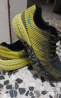 کتونی ارجینال