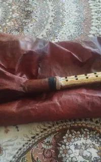 نی انبان
