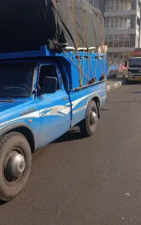 باربری
