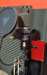 میکروفون c214 AKG
